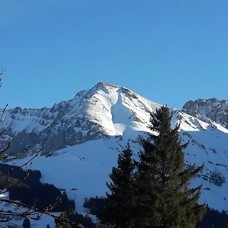 Allmegrat Apartment Adelboden