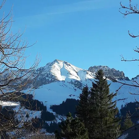 Allmegrat Apartment Adelboden