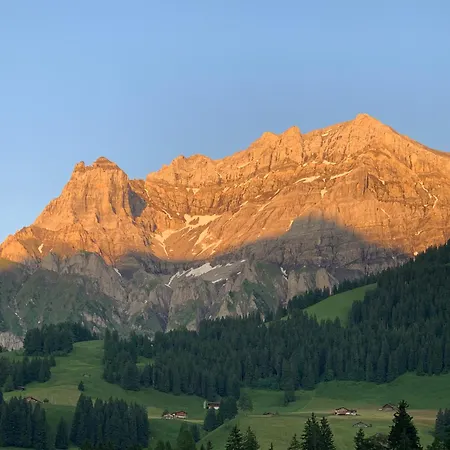 Allmegrat * Adelboden