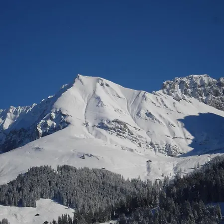 Allmegrat * Adelboden