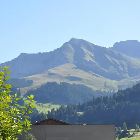 Apartman Allmegrat Adelboden