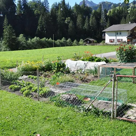 Allmegrat Apartment Adelboden