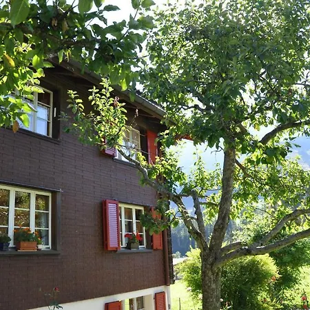 Apartment Allmegrat Adelboden