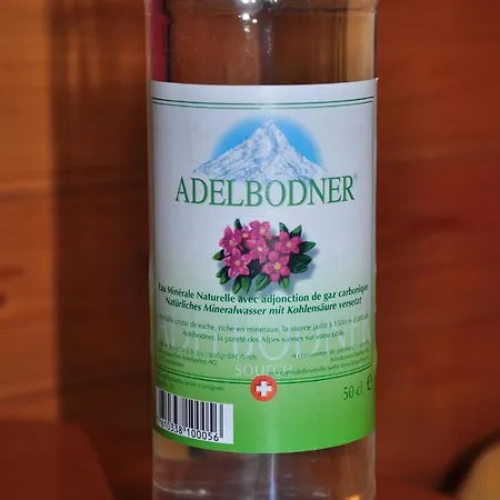 Apartment Allmegrat Adelboden