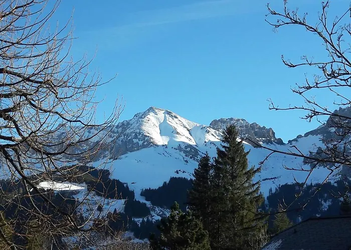 Allmegrat Apartamento Adelboden