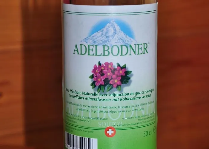 Apartamento Allmegrat Adelboden