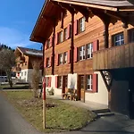 Allmegrat Daire Adelboden