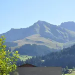 Daire Allmegrat Adelboden