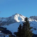 Allmegrat Apartment Adelboden