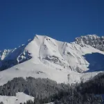 Allmegrat * Adelboden