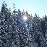 Allmegrat *