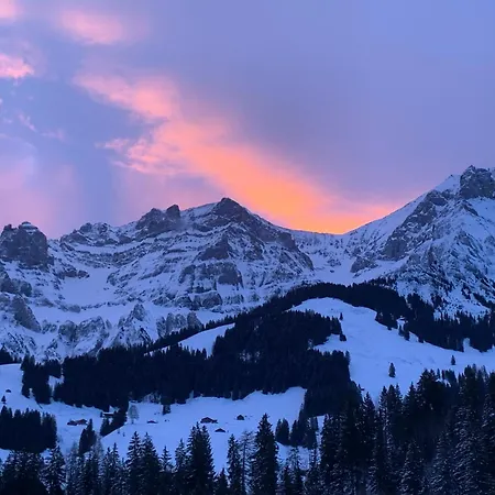 Allmegrat Adelboden