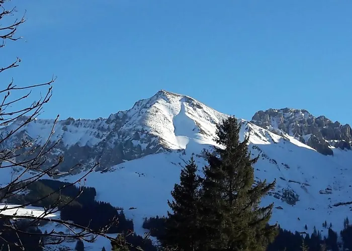 Allmegrat Lejlighed Adelboden