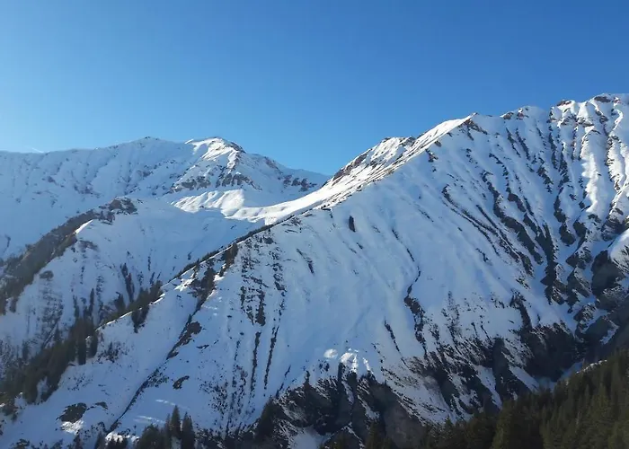 Allmegrat Lejlighed *