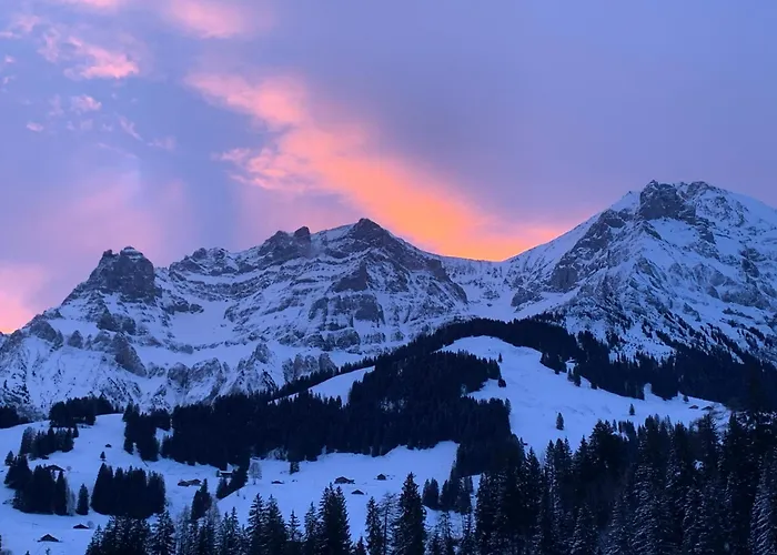 Allmegrat Adelboden