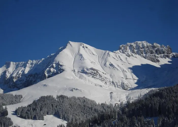 Allmegrat * Adelboden